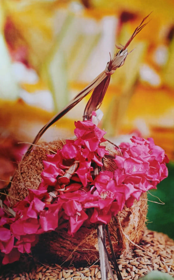 Pink blossoms offered at the shrine